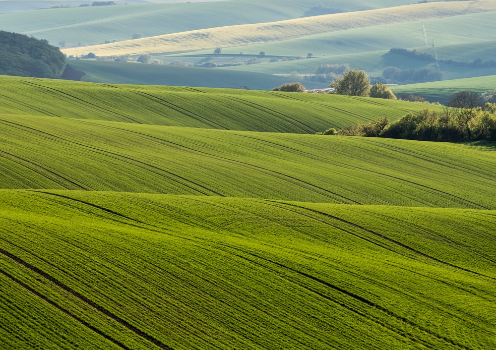 Photograph by Larisa Cekanaviсa