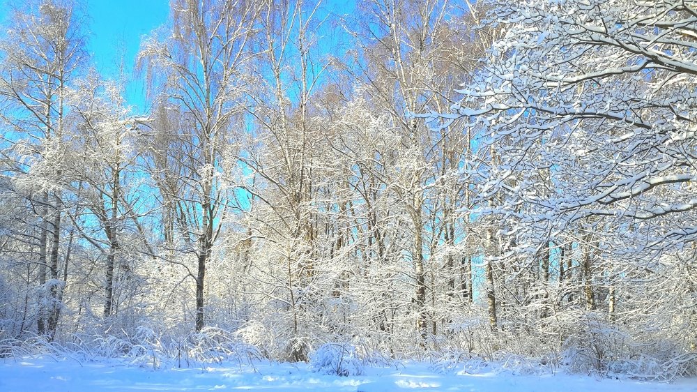 Photograph by Борис Каширин