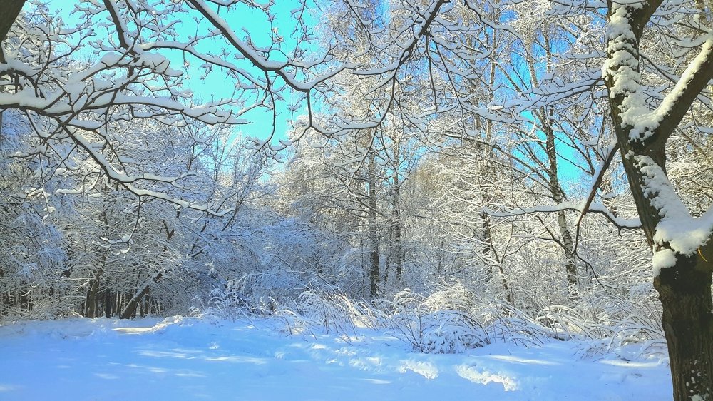 Photograph by Борис Каширин