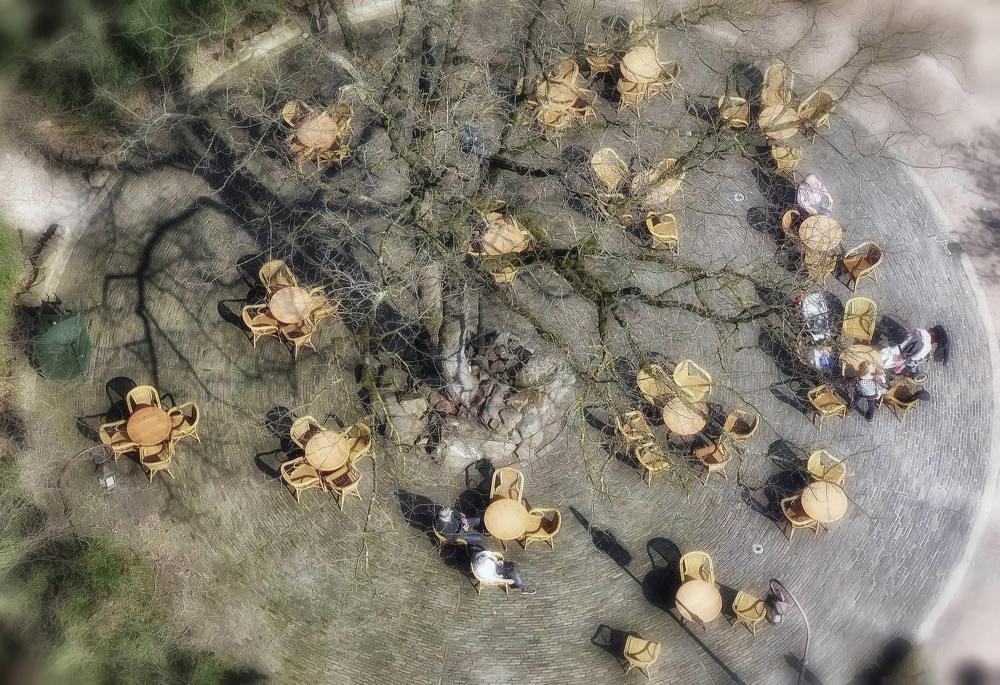 В вихре вальса