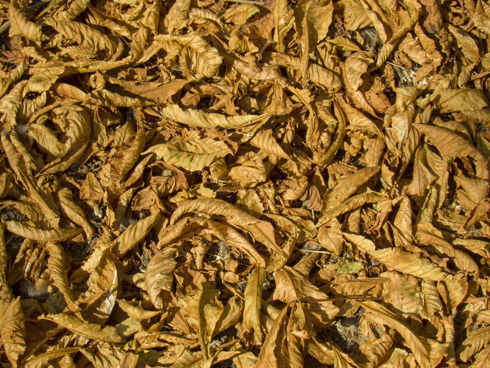 Photograph by Иван Доможирский