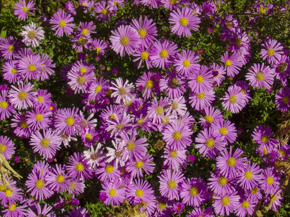 Photograph by Иван Доможирский