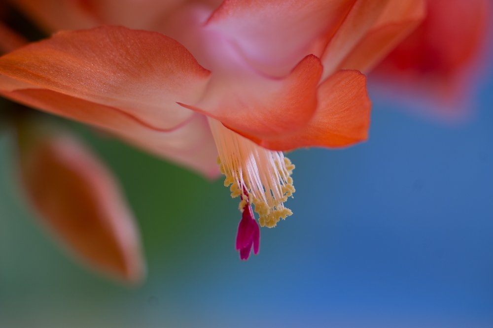 Photograph by Татьяна Новикова