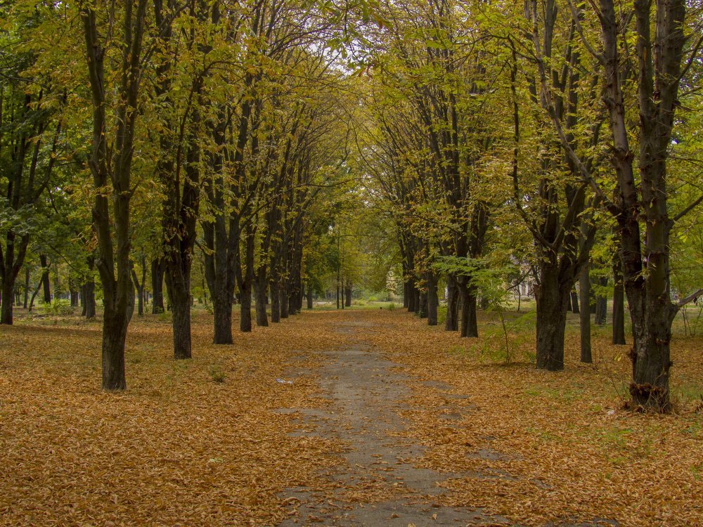 Photograph by Иван Доможирский