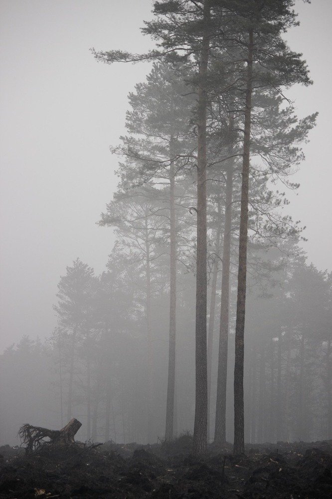 Photograph by Lidia Wachowicz Wiktor