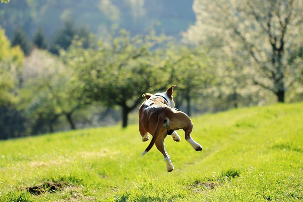 Photograph by Elena Gebert