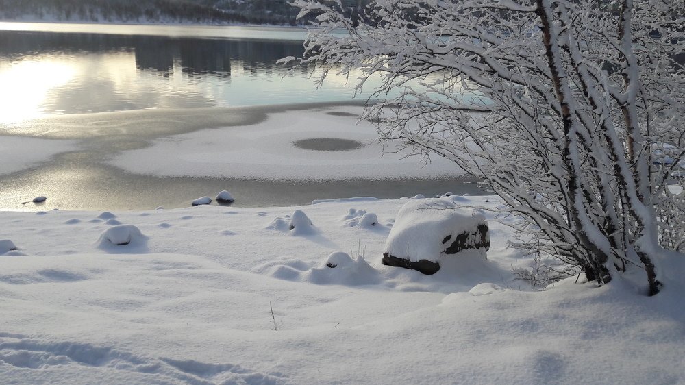 Photograph by Надежда Кузнецова