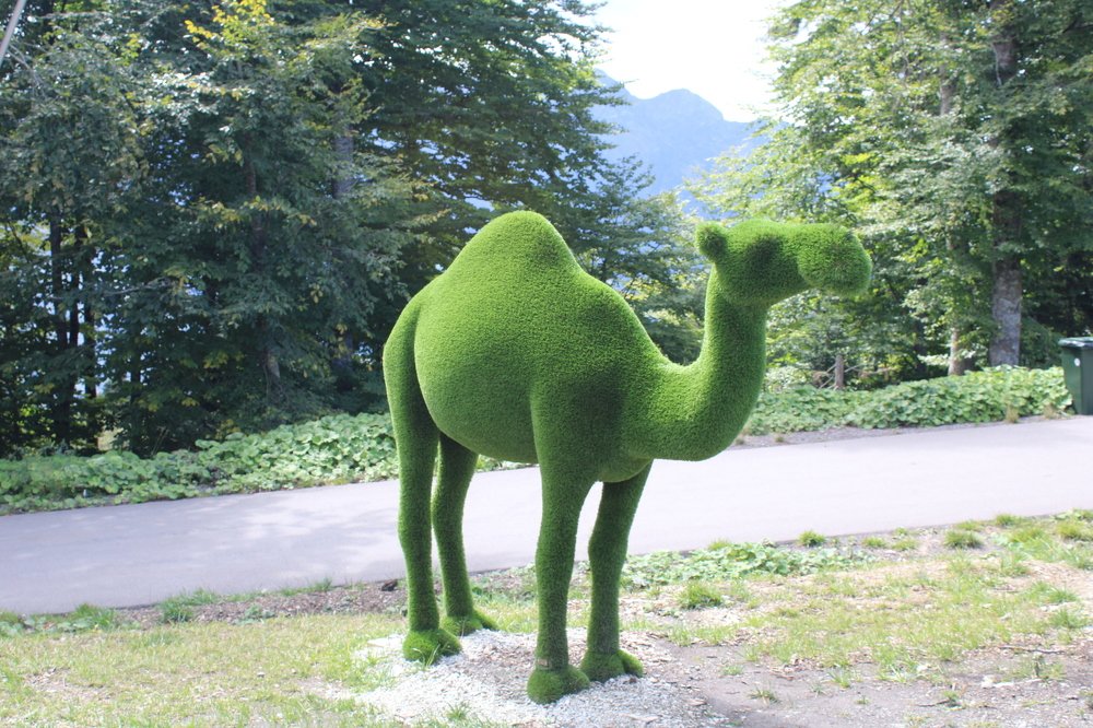 Photograph by Николай Немчанинов