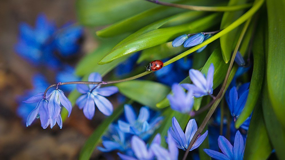 Photograph by Викулина Мария