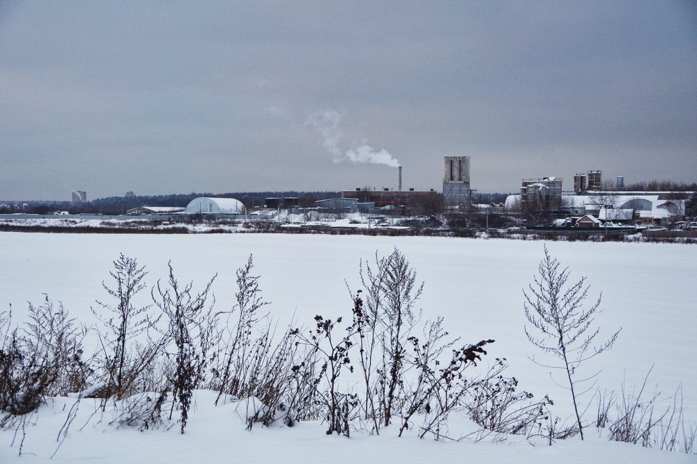 Фотография автора Марина Савчиц