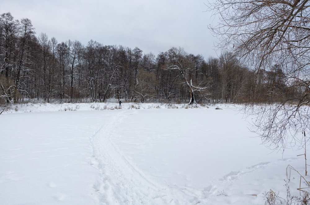 Фотография автора Марина Савчиц