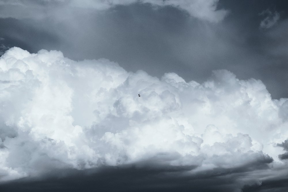 Photograph by Татьяна Калюжина