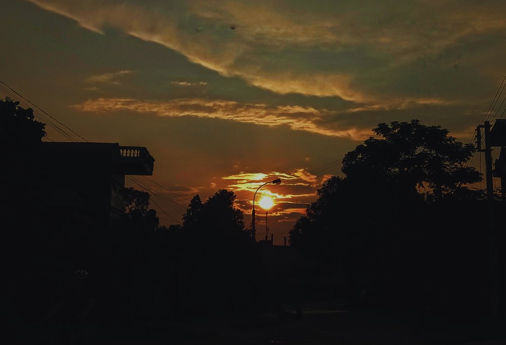 Photo #3751233