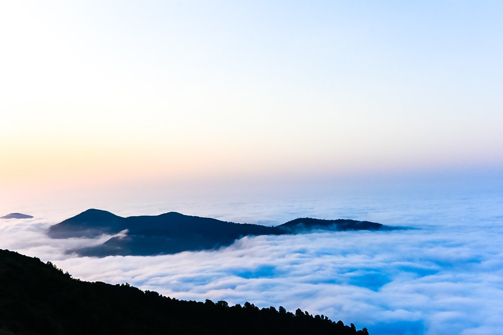 Photograph by Younes jafari