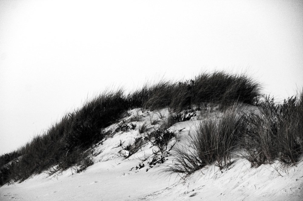 Photograph by JBarrosFotografia1