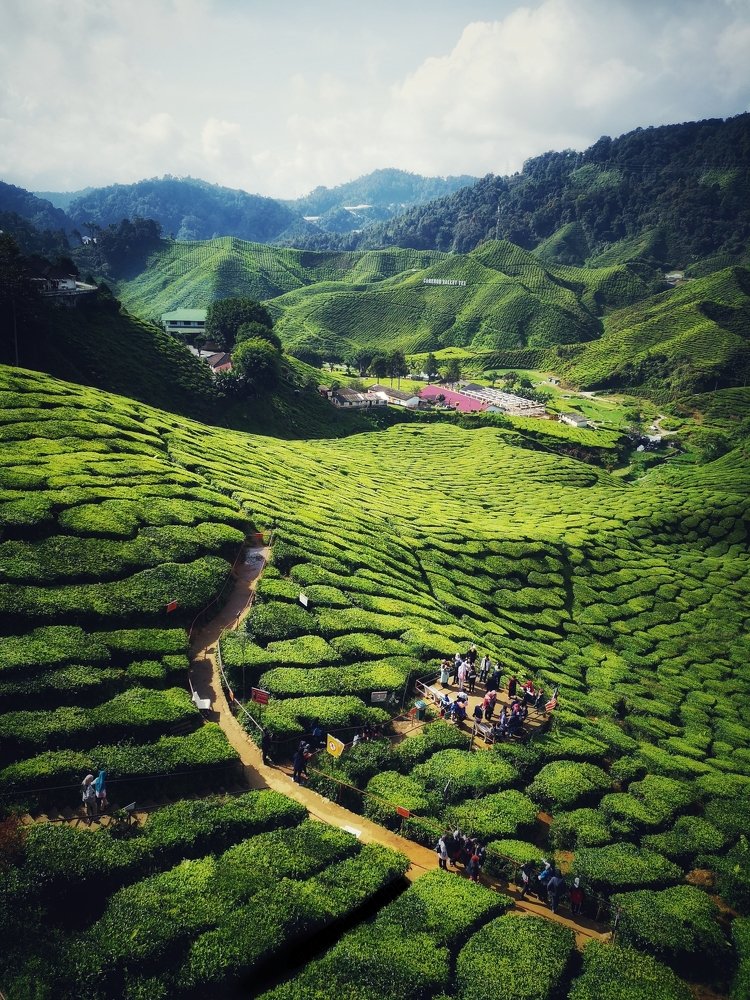 Photograph by Oliver Oh