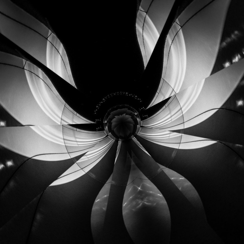 Photograph by Mikolaj Jackiewicz