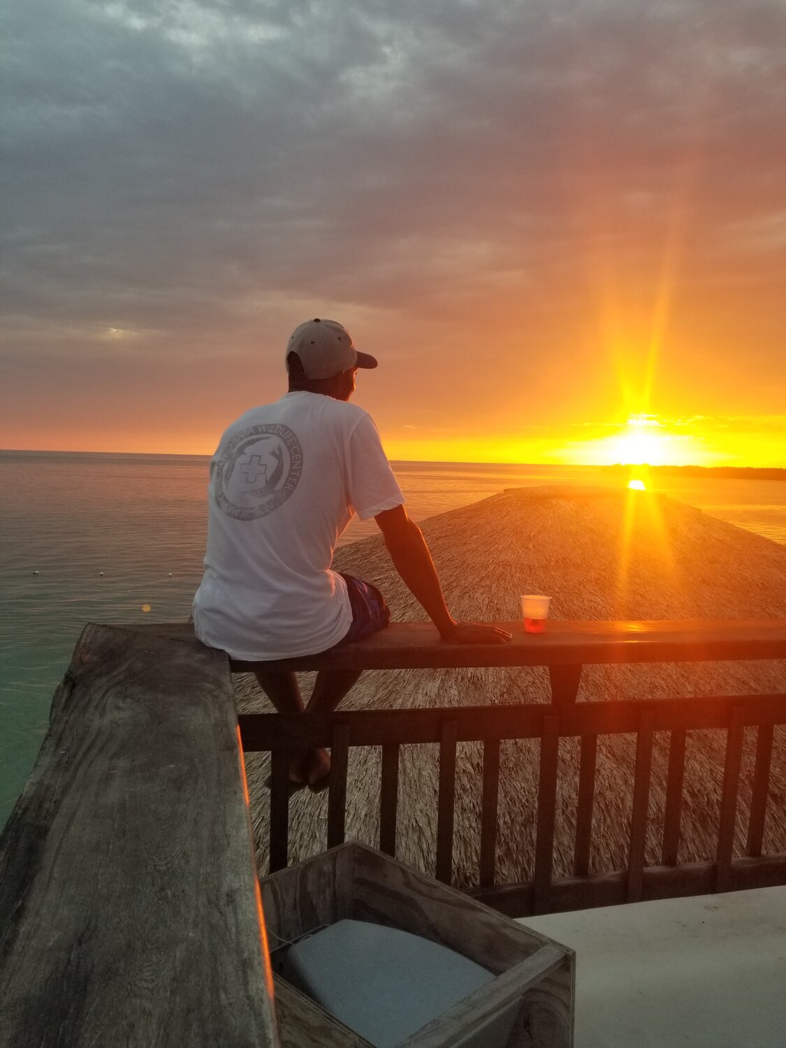 Photo #3751408