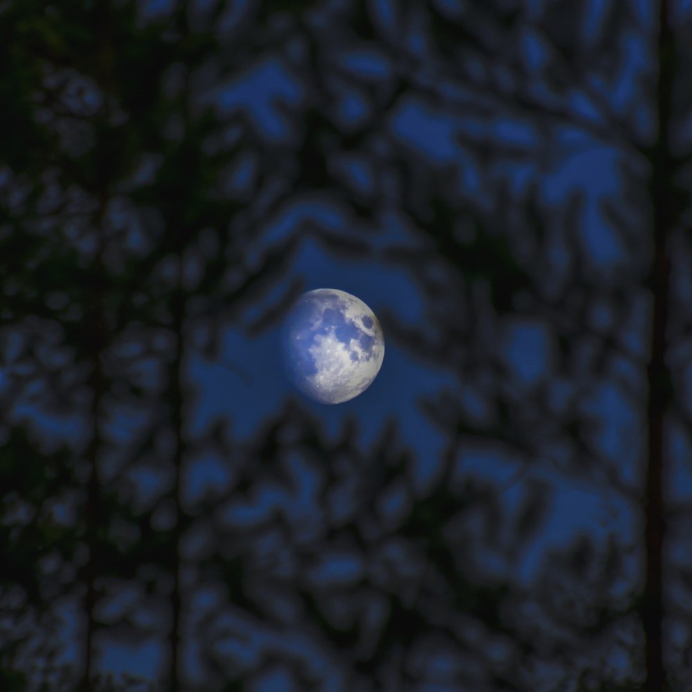 Photograph by Василий Рогачёв