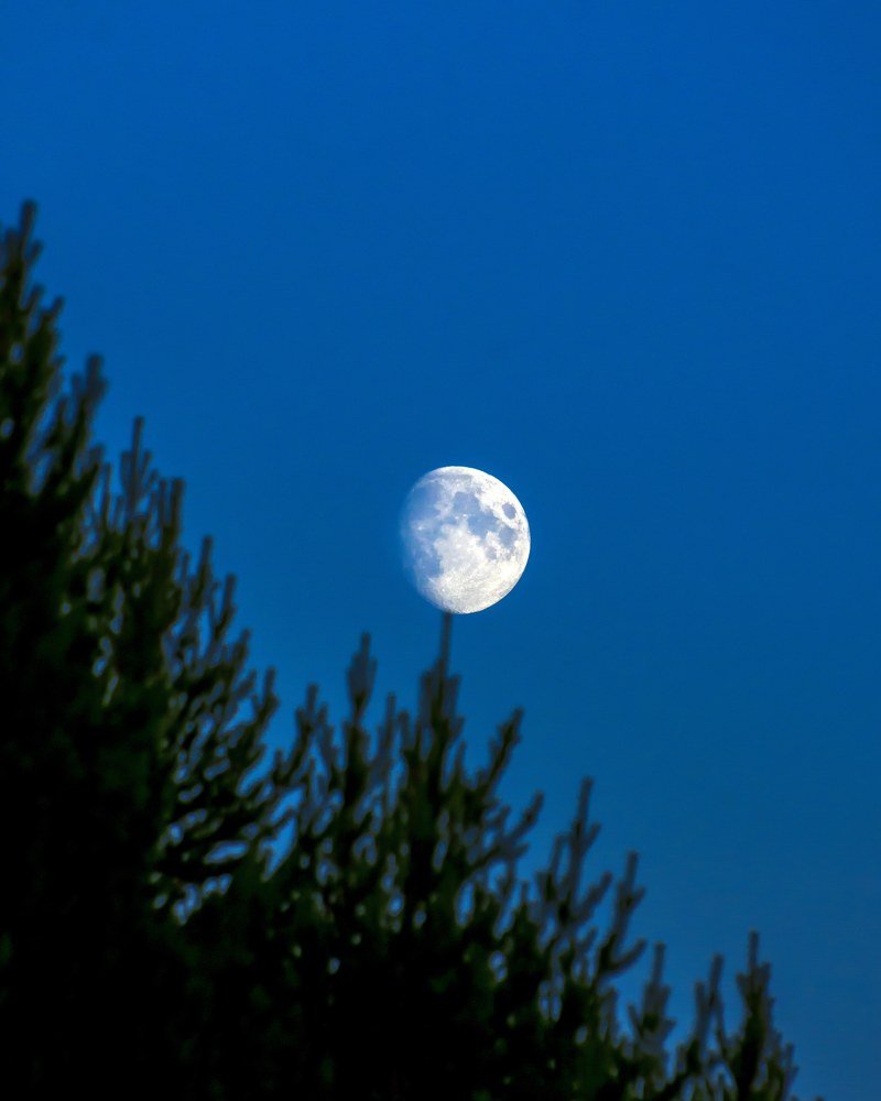 Photograph by Василий Рогачёв