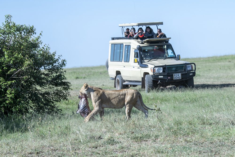 Cruel kindness..A rare documentation