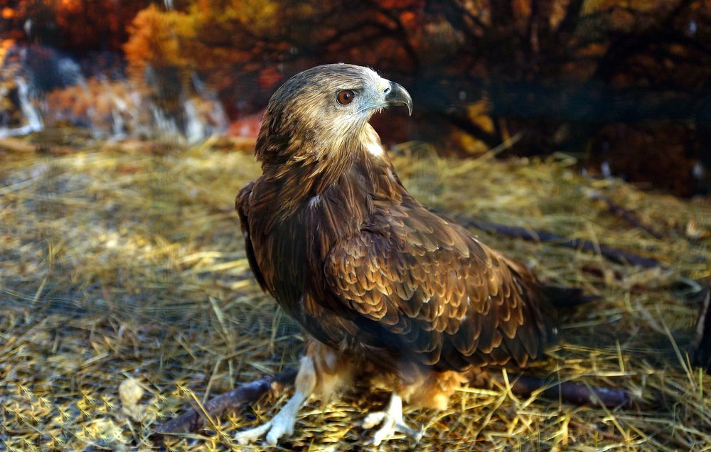 Photograph by Виктор Игнатенко.