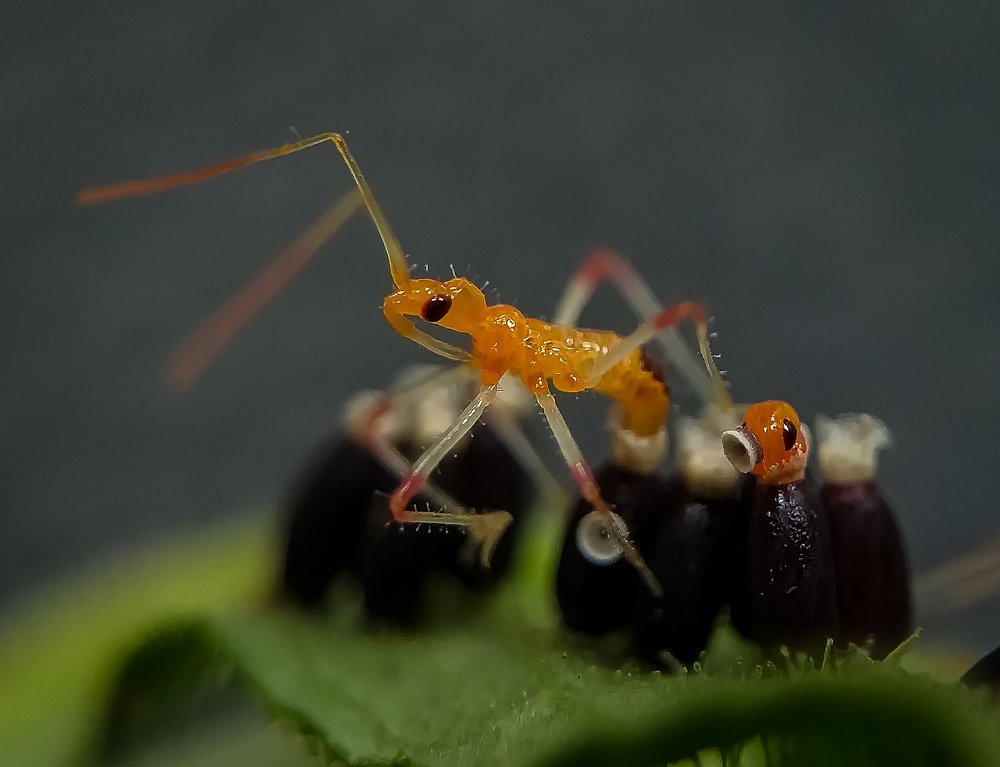 Photograph by Biswanath Chaki