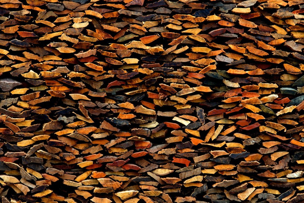 Photograph by Aung Kyaw Soe