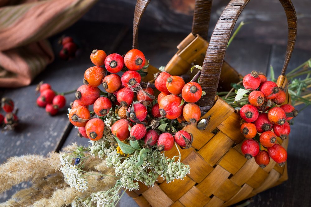 Photograph by irinabogach