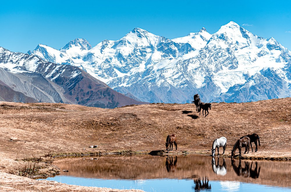 Безмятежность