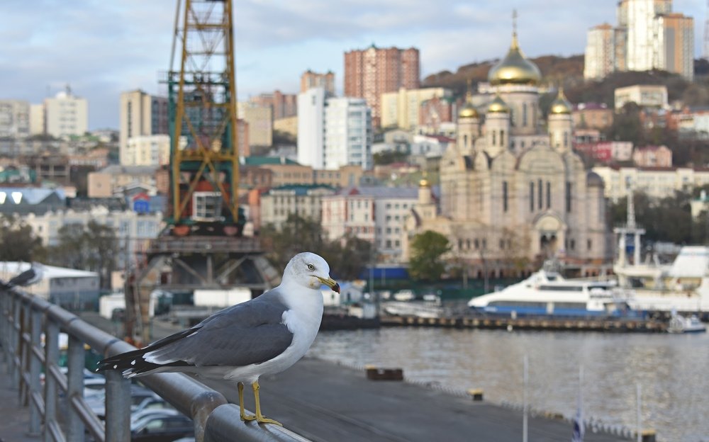 Photograph by Светлана Титова