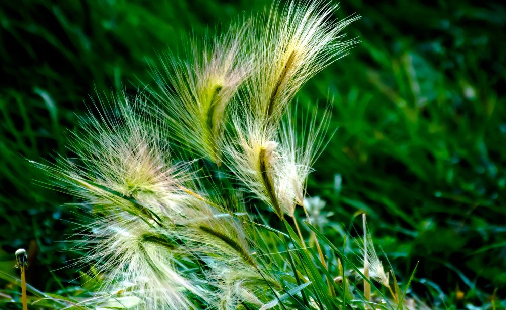 Photograph by Елена Прохорова