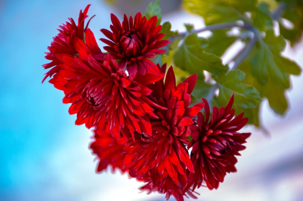 Photograph by Елена Прохорова