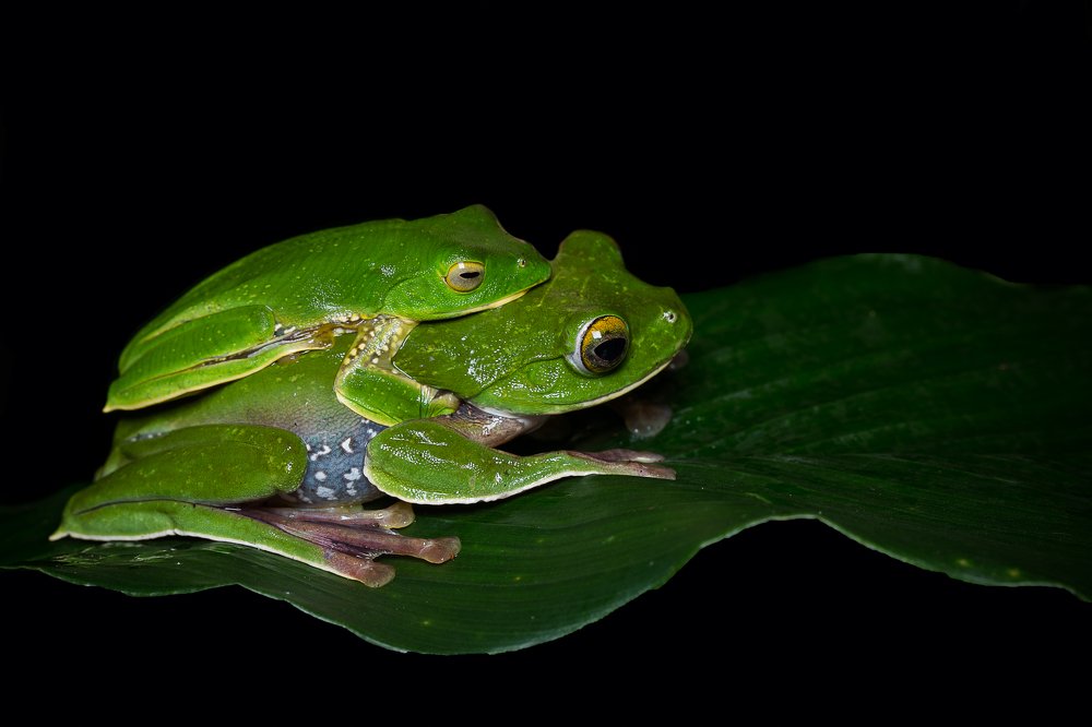 Photograph by Shajin Nambiar