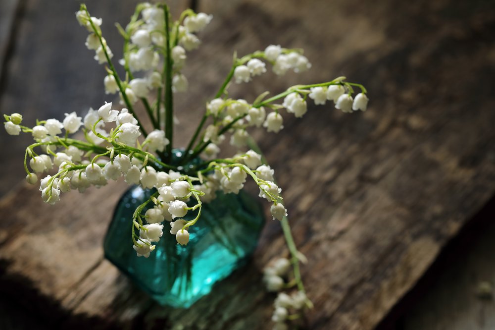 Photograph by Наталья Бочкарева