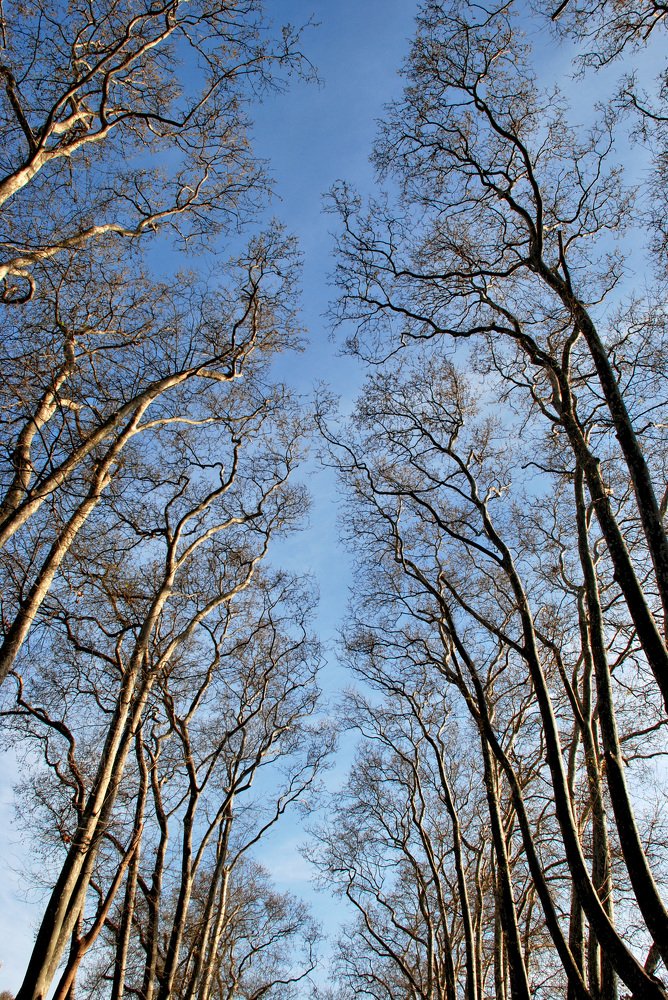 Photograph by Gordana Nikolovska-Dimeska