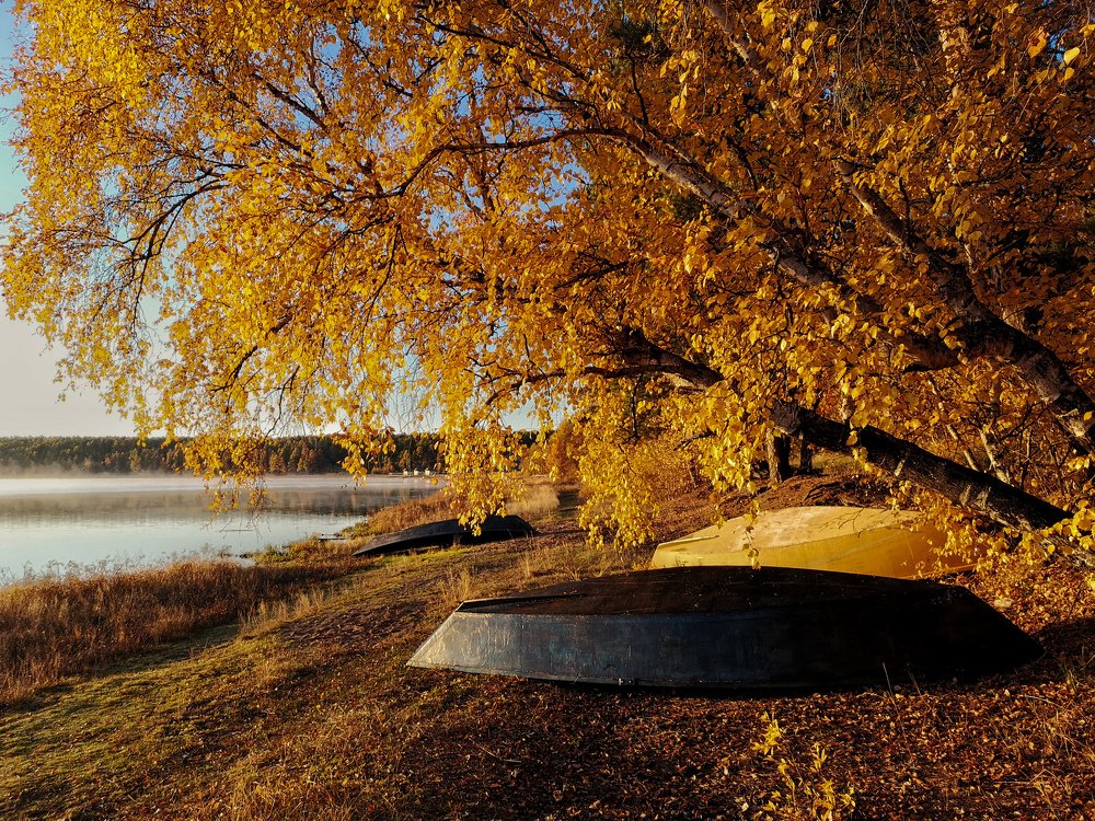 Photograph by Сергей Марценович