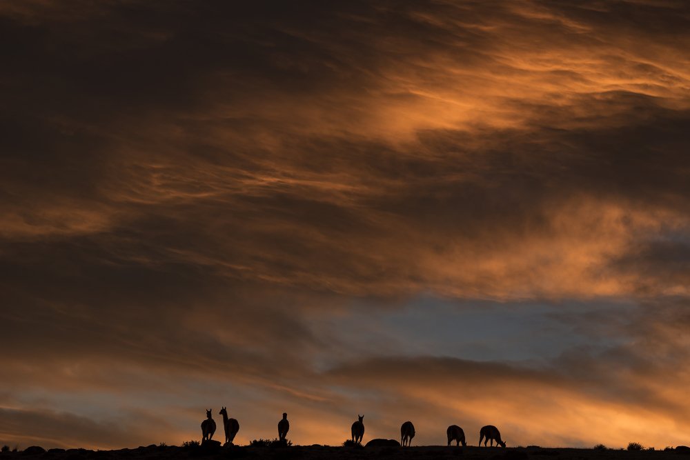 Photograph by Shishir Kumar Jain