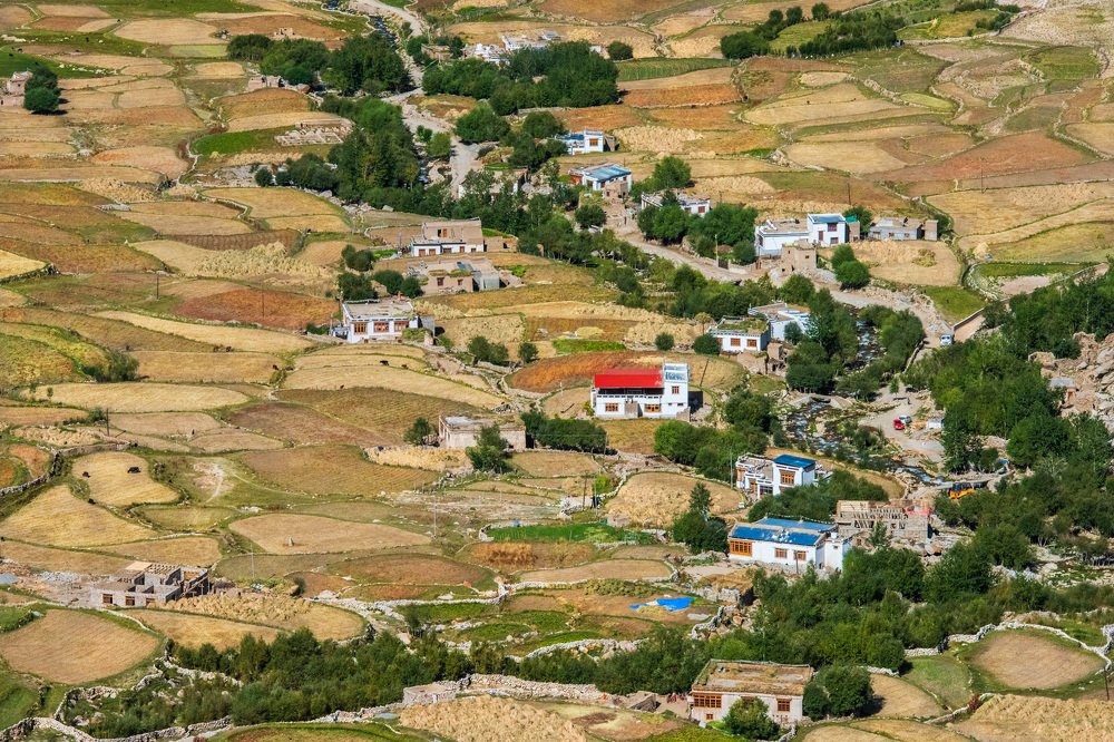 Осень в Ладакхе.