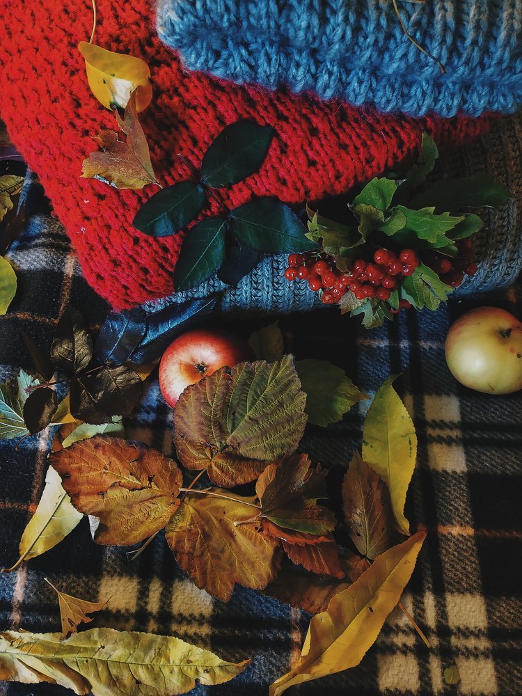 Photo #3751751