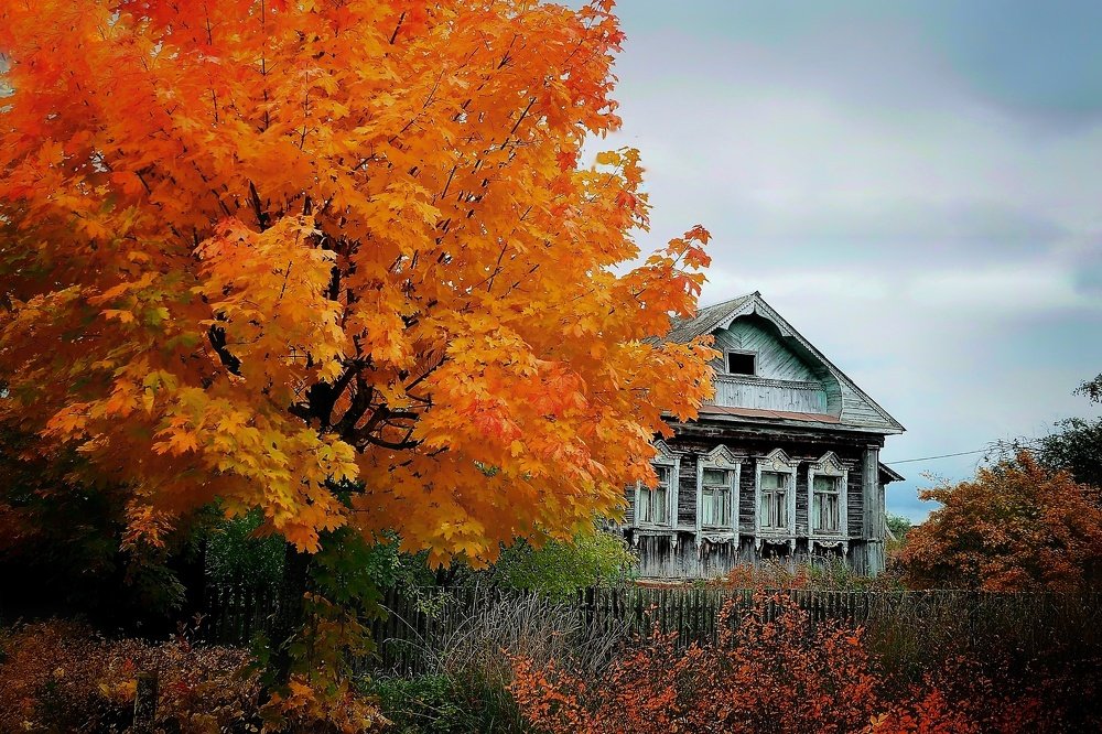 Photograph by Илья Шамин