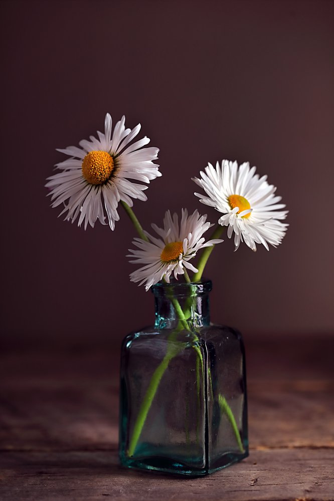 Photograph by Наталья Бочкарева