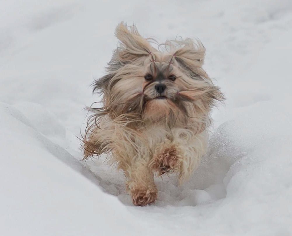 Фотография автора Anna NovaLova