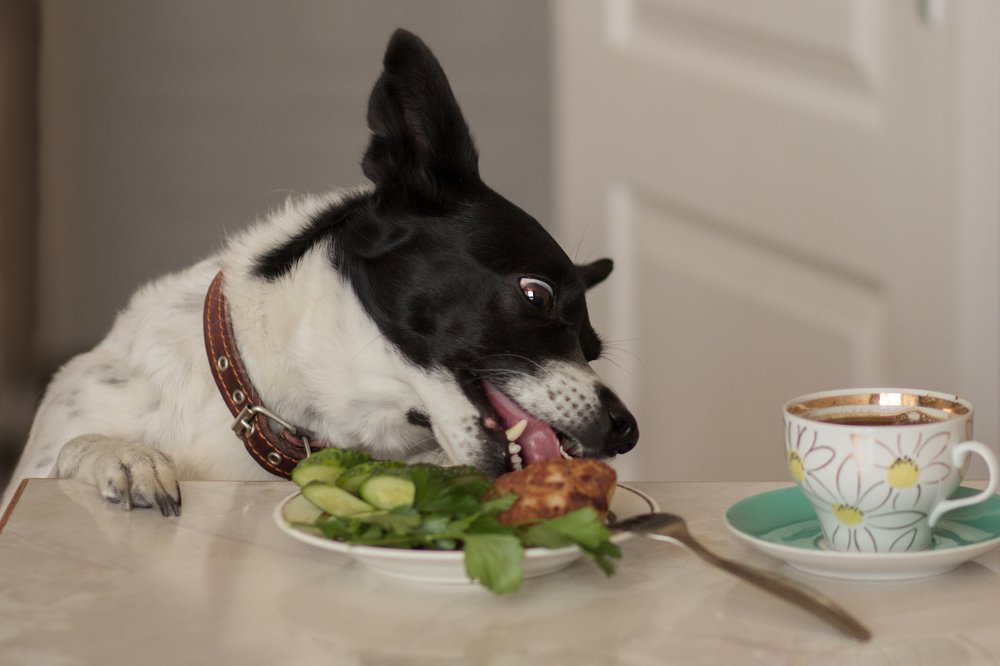 Photograph by Виктория Суркова