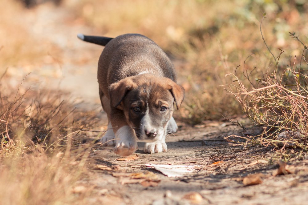 Photograph by Виктория Суркова