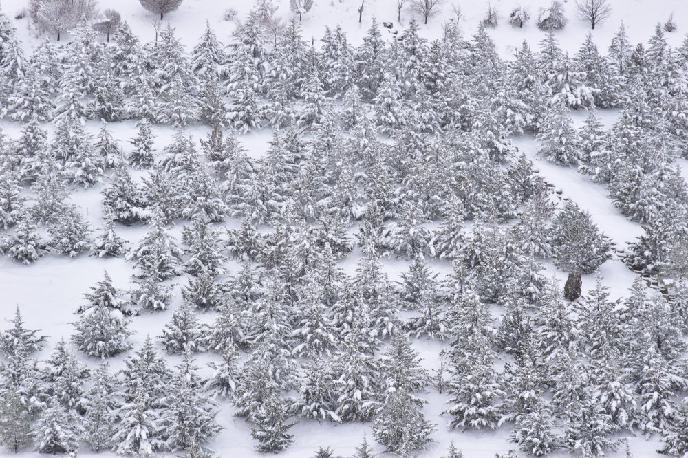 Photograph by Ehsan Fathi