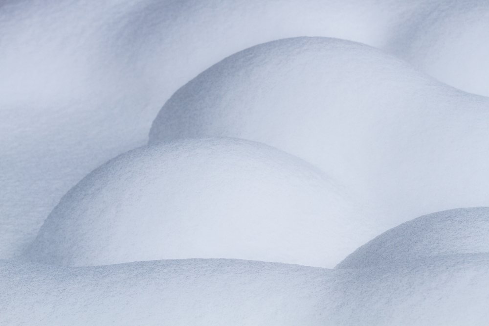 Photograph by Eriks Zilbalodis