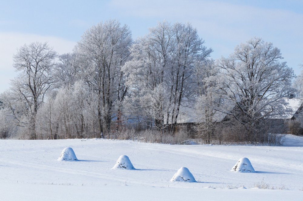 Photograph by Eriks Zilbalodis