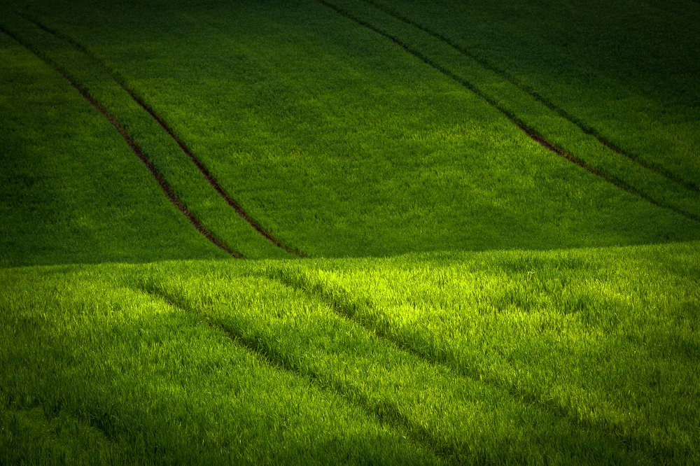 Photograph by Eriks Zilbalodis