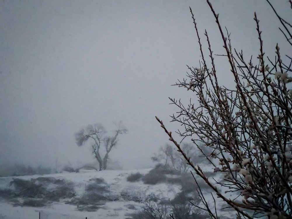 Photograph by ali yeganeh